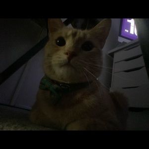 Meet your Posher, Mimi